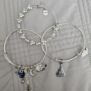 bundle of disney alex & ani